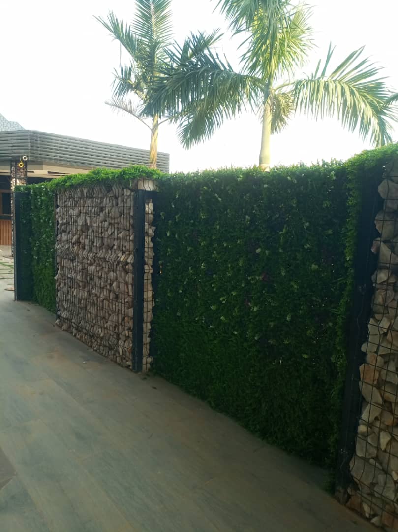 WhatsApp Image 2024-08-20 at 20.54.37 (1)